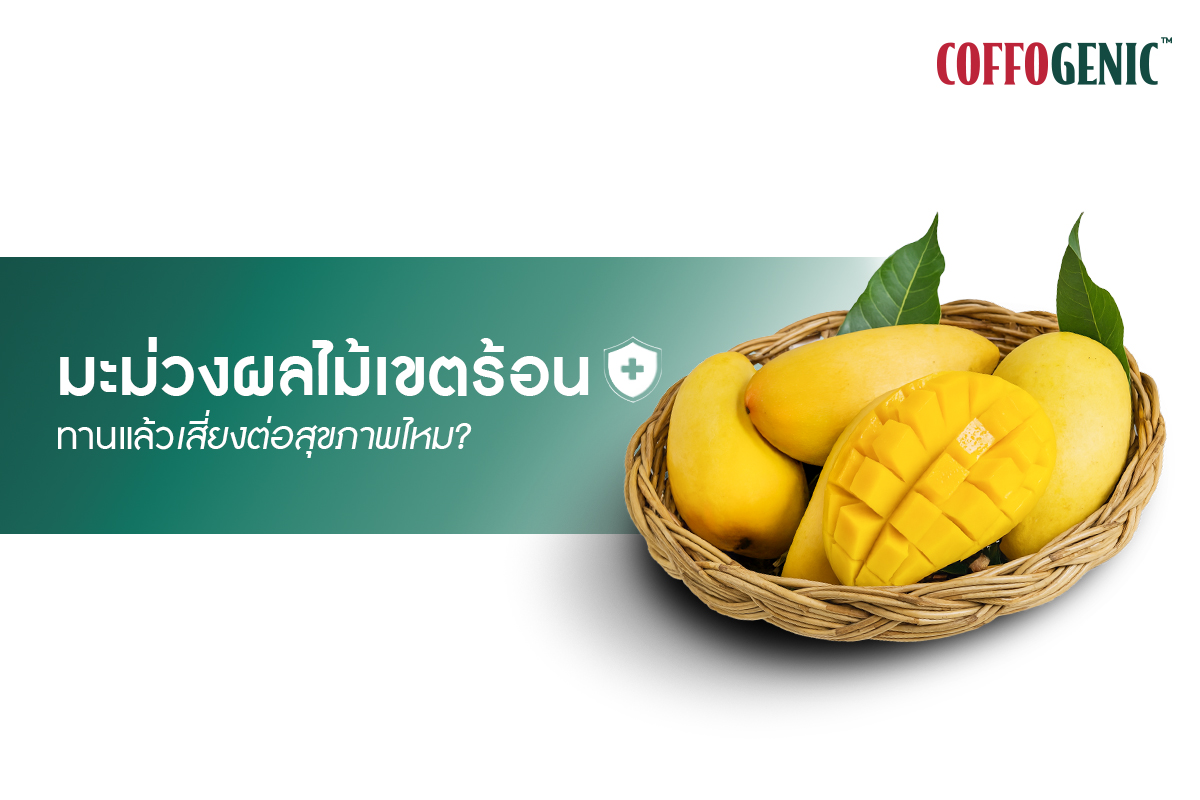 You are currently viewing มะม่วงผลไม้หวานฉ่ำเขตร้อน ทานแล้วเสี่ยงต่อสุขภาพไหม ?