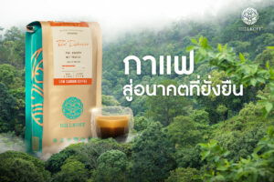 Read more about the article กาแฟที่รักษ์โลก ต้องไม่ใช่แค่ปลูกต้นไม้เพิ่ม แต่คือการรักษาต้นไม้และความหลากหลายทางชีวภาพที่มีอยู่