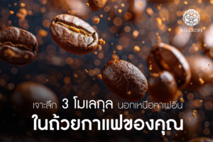 Read more about the article มากไปกว่าคาเฟอีน วิทยาศาสตร์โมเลกุล