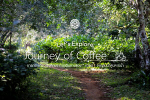 Read more about the article บันทึกการเดินทางระยะ 8.5 กิโลเมตรเส้นทางจาก หมู่บ้านห้วยตาด สู่ ศูนย์การเรียนรู้ครบวงจรกาแฟชาวไทยภูเขา