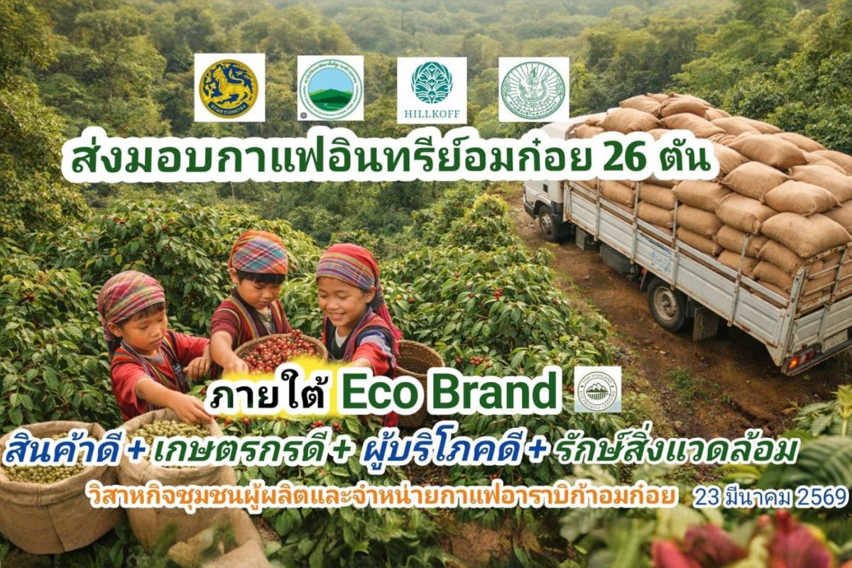 You are currently viewing ฮิลล์คอฟฟ์สนับสนุนการรับซื้อกาแฟกะลาออร์แกนิกจากพื้นที่อำเภออมก๋อย สู่การเติบโตอย่างยั่งยืน