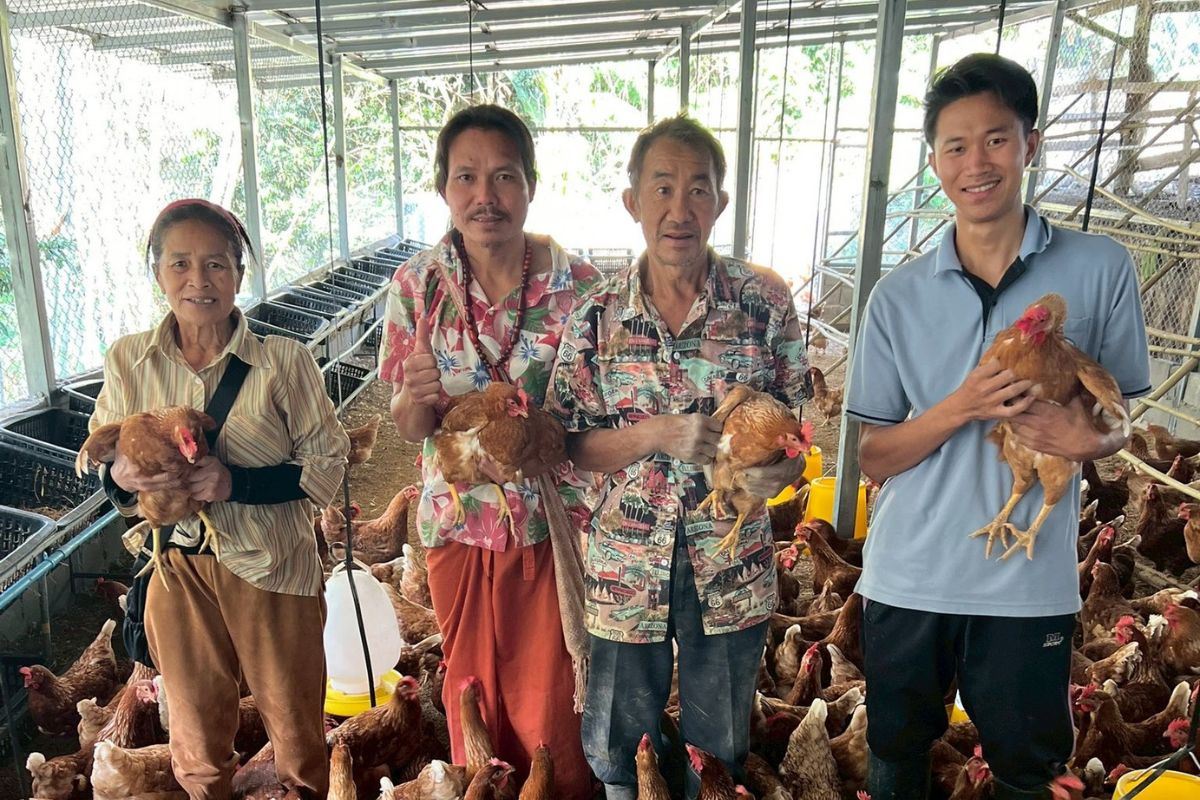 You are currently viewing จากชุมชนสู่ความยั่งยืน ส่งเสริมอาชีพเลี้ยงไก่ไข่สำหรับผู้สูงอายุ