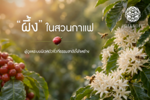 Read more about the article ในธรรมชาติ บอกได้เลยว่า…ทุกสิ่งล้วนเชื่อมโยงกันแม้แต่ “ผึ้ง” ตัวเล็กๆ กับ “สวนกาแฟ”