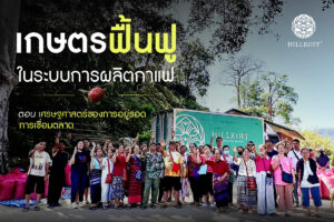 Read more about the article เกษตรฟื้นฟูในระบบการผลิตกาแฟ ตอนเศรษฐศาสตร์ของการอยู่รอดและการเชื่อมตลาด