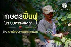 Read more about the article เกษตรฟื้นฟูกับรายได้เพื่อการดำรงชีวิต