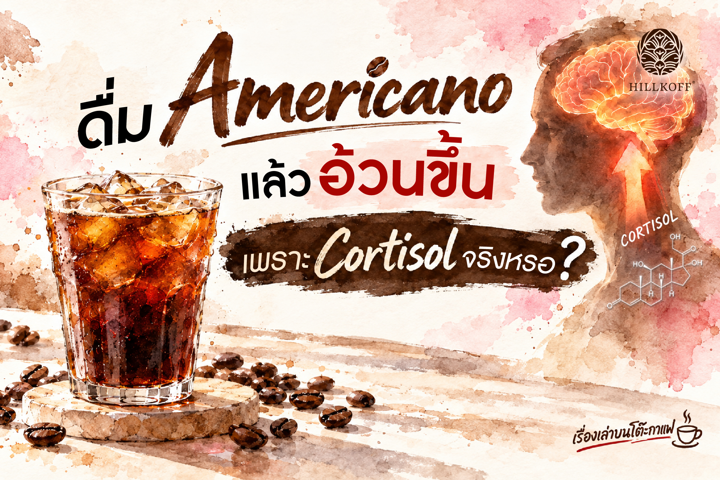 You are currently viewing ดื่ม Americano แล้วอ้วน เพราะ Cortisol จริงไหม?