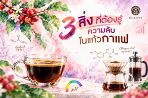 Read more about the article 3 เรื่องจริงสุดเซอร์ไพรส์ จากแก้วกาแฟที่ต้องรู้